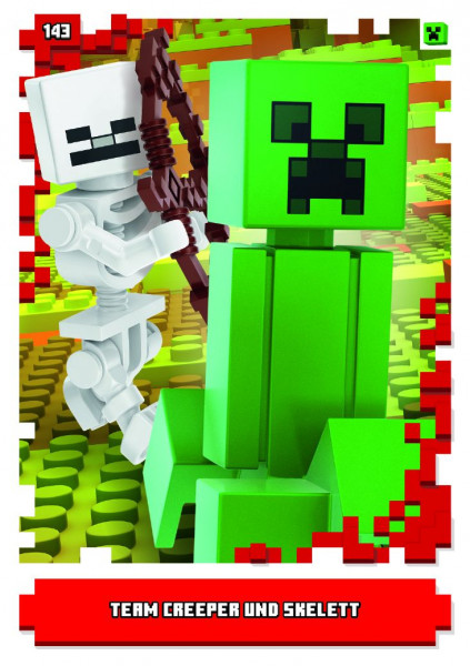 Nummer 143 I Team Creeper und Skelett I LEGO Minecraft TCC 1