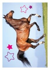 Horse Club Sticker Nummer 115