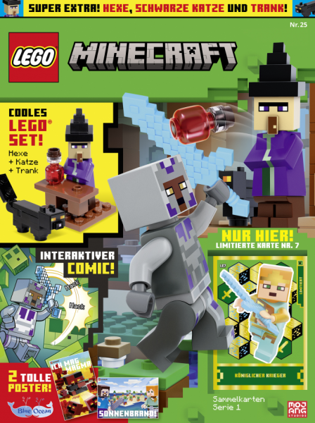 LEGO Minecraft 25/24