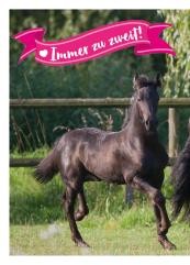 Horse Club Sticker Nummer 88