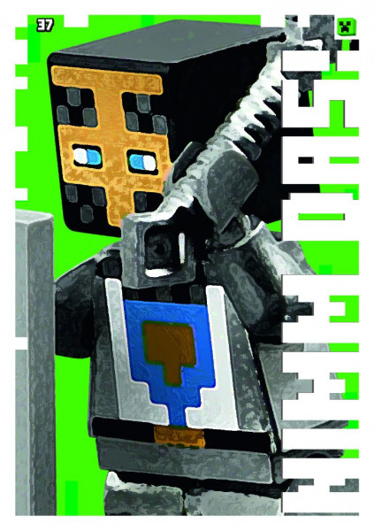 Nummer 037 I Nimm das! I LEGO Minecraft TCC 1